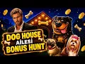 SLOT OYUNLARI THE DOG HOUSE AILESI BONUS HUNT DENEMESI