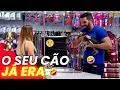Download Lagu CONHEÇA A MÁQUINA DE ENCOLHER CACHORROS | CÂMERAS ESCONDIDAS