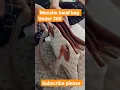 Download Lagu meesho hand bag under 300 #viralvideo #entertainment #shortvideo #meeshohaul #handbags #shopping