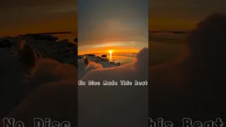 No Disc X Cheb Anouar Loghzal Diali Remix 2023 