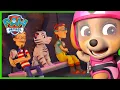 Download Lagu Ultimate Rescue Pups save Turbots and Tigers from a Volcano! | PAW Patrol Episode Cartoons for Kids