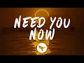 Download Lagu William Black \u0026 Forester - Need You Now (Lyrics)