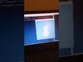 Happy new year 2025 wishing using Python
