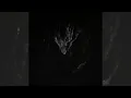 Necropole-Withershins Track