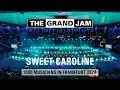 Download Lagu The Grand Jam - Sweet Caroline - Neil Diamond - 2024 [New Version]