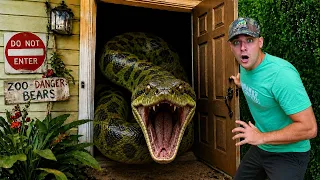 I Turned My House Into A Zoo