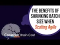 The Benefits of Shrinking Batch Size When Scaling Agile