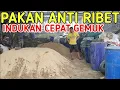 Download Lagu CARA BUAT PAKAN KAMBING MUDAH DAN SIMPLE INDUKAN CEPAT GEMUK
