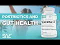 The best supplement for digestion and gut health Viscera-3 SANE Solution