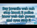 Alkaline - Lone Madness (Lyrics Video)
