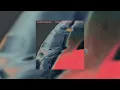 Franky Rizardo - Marido Dansa (CORZ Edit)