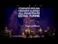 Download Lagu Estas Tonne - \