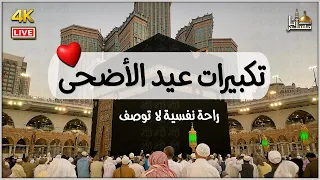 بث مباشر   تكبيرات عيد الأضحى المبارك      بصوت جميل    لنجعلها تملأ الدنيا الله أكبر الله أكبر دندنها