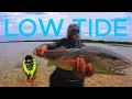 I Didn t Plan on Walking Through Stingray-Infested Waters Tampa Bay Fishing