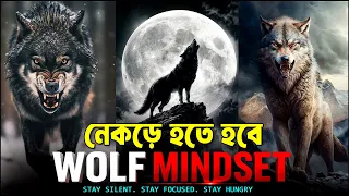 আপনাকে নেকড়ের মতো হতে হবে ! Wolf Mindset Motivation ! 5 Lessons You Must Learn from Wolf
