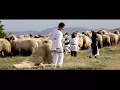 Download Lagu Viata de cioban - Melodii de ciobanie - Colaj NOU 2018