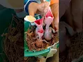 Download Lagu Hand feeding Baby Birds #meskipops #birds #animals #babybird