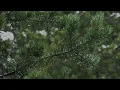 Jeremy Soule Skyrim — “In Tamriel's Rain” [3 Hrs.]