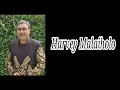 Download Lagu Harvey Malaiholo - Seandainya Selalu Satu (Lirik) #harveymalaiholo #lagunostalgia