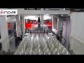 Inpak Makina TS-800 Thermoforming Machine