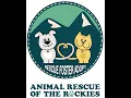 Animal Rescue for the Rockies in Denver Colorado - Innov8 s Business Spotlight