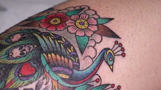 Peacock Tattoo - Traditional