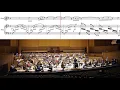 Swan Lake:  Act II – 10. Scene  – London Philharmonic Orchestra
