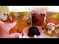 1971-77 Cute Animal Avon Bottles with Boxes-Auction Find