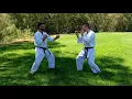 Download Lagu BUBISHI in KARATE - The 48 diagrams of self defense