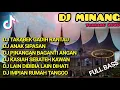Download Lagu DJ Minang Terbaru 2020 | DJ Takabek Gadih Rantau x DJ Anak Sipasan Full Album