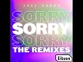 Download Lagu Joel Corry - Sorry (Eibson bootleg) preview