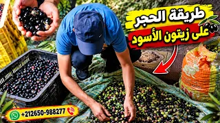                                                                                                     دندنها