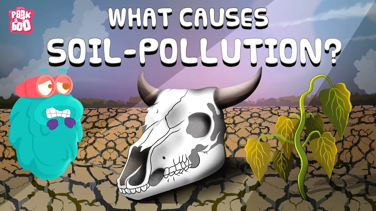 Outline Video What Is SOIL POLLUTION | LAND POLLUTION | What Causes Soil Pollution | Dr Binocs Show |Peekaboo Kidz