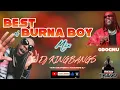 Best of BURNA BOY Mix 2024 (City boys, Last last, Plenty, On the low, Ye & more)