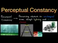 Perceptual Constancy