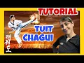 Download Lagu 1 - Tutorial de TUIT CHAGUI | ✅ Hacks y consejos INFALIBLES