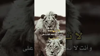 لا تهدد حالات واتس اب شيقة احترافية 2024 رووووووووووووووعــه  لا تهدد حالات واتس اب شيقة احترافية 2024 رووووووووووووووعــه