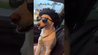 ويعبوا فيا بتوع امبارح       رحلة النمو  اكسبلور  اهميه        دندنها