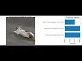 Image captioning Show and Tell im2text CNN LSTM deep learning model Tensorflow Python