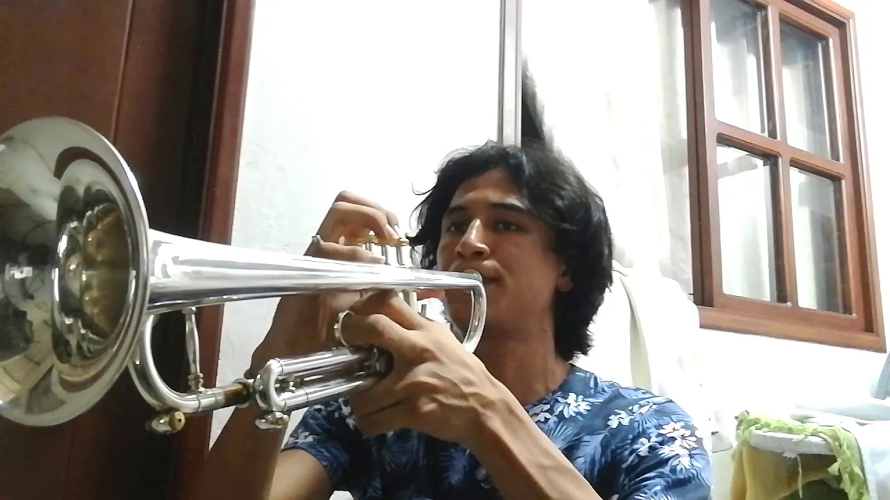 CUCO - Lover is a day Trumpet Solo