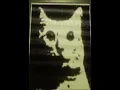 Download Lagu I Have No Mouth And I Must Scream - A.M. speech but it plays void in blue