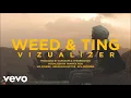 Protoje - Weed & Ting Lyrics (Lyric Video)