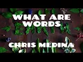 Download Lagu WHAT ARE WORDS  - CHRIS MEDINA