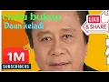 Download Lagu cinta bukan daun keladi mansyur s