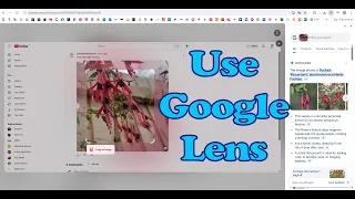 Using Google Lens To Identify Pictures 
