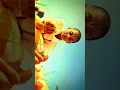 Download Lagu Jay Siyaram | Ayodhya Diwali Celebration 4K Video | Ayodhya Diwali 4K WhatsApp Status |