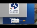 Clear the Shelters Four puppies from Dante s Hope