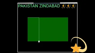 Pakistani Flag using python programing