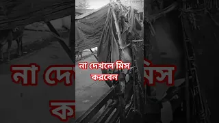 Https Vt Tiktok Com ZSy3TgUbC 