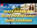 Download Lagu Suara ombak dan kicau burung camar untuk relaksasi | musik relaksasi